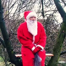 Der Weihnachtsmann auf einem Baum